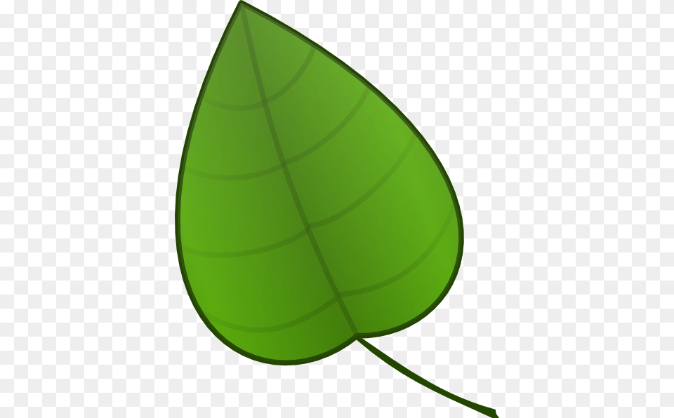 Jungle Leaf Template, Plant, Herbal, Herbs, Clothing Free Transparent Png
