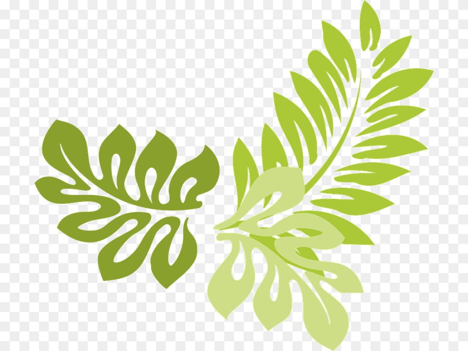 Jungle Leaf Transparent Jungle Leaf Leaves Border Design Transparent, Art, Plant, Herbs, Herbal Png Image