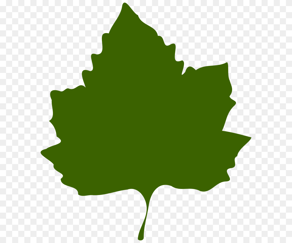 Jungle Leaves Clip Art, Leaf, Plant, Maple Leaf, Person Free Png Download
