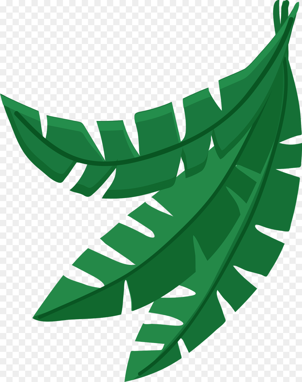 Jungle Leaves Clipart, Green, Leaf, Plant, Herbal Free Png
