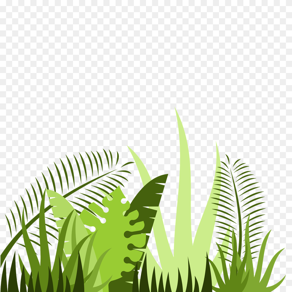 Jungle Leaves Clipart, Vegetation, Plant, Grass, Green Free Transparent Png