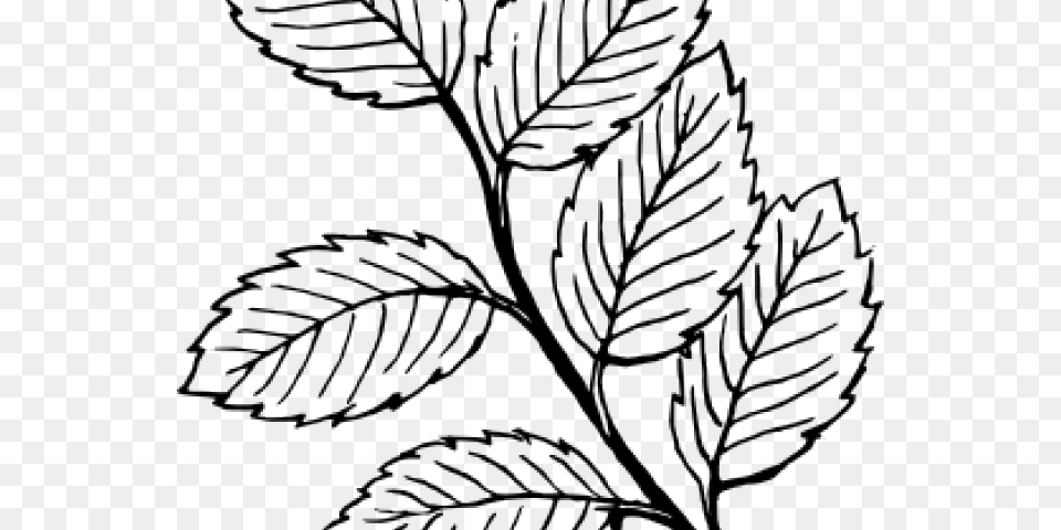 Jungle Leaves Cliparts Leaves Black And White Coloring, Leaf, Plant, Art, Drawing Free Png