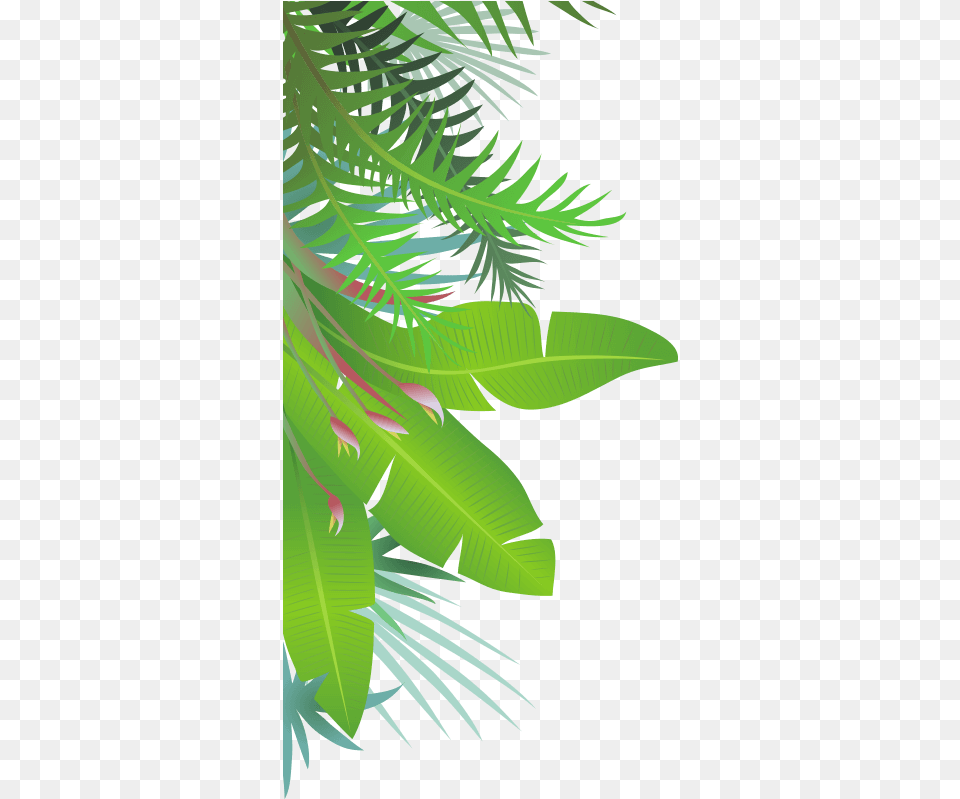 Jungle Leaves Jungle Leaves Jungle Leaves Attalea Jungle Leaves Vector Transparent, Art, Plant, Outdoors, Nature Free Png