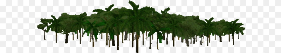 Jungle Leaves Transparent Background, Green, Vegetation, Tree, Plant Png Image