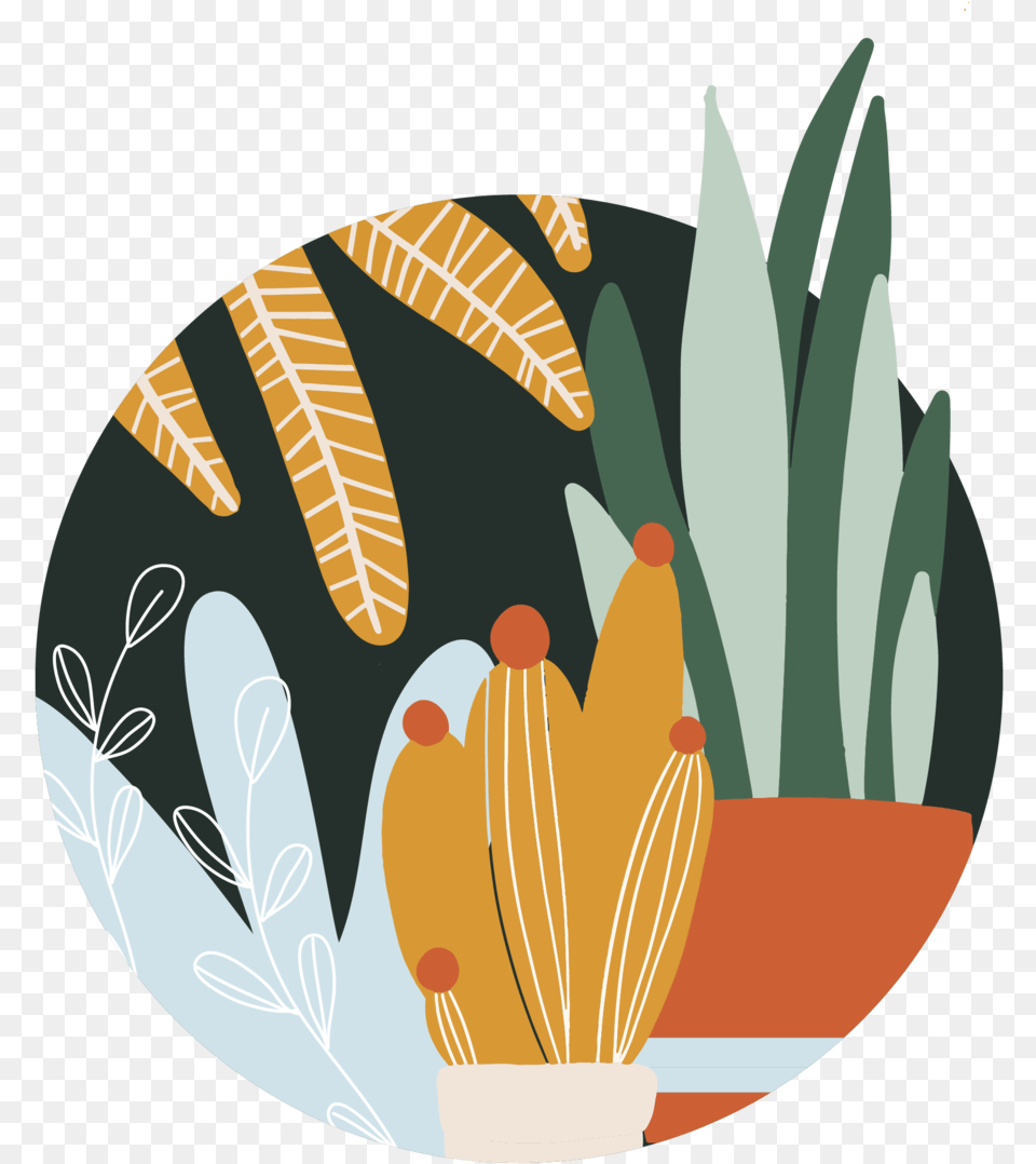 Jungle Packages 01 Illustration, Food, Meal, Leaf, Plant Free Png Download