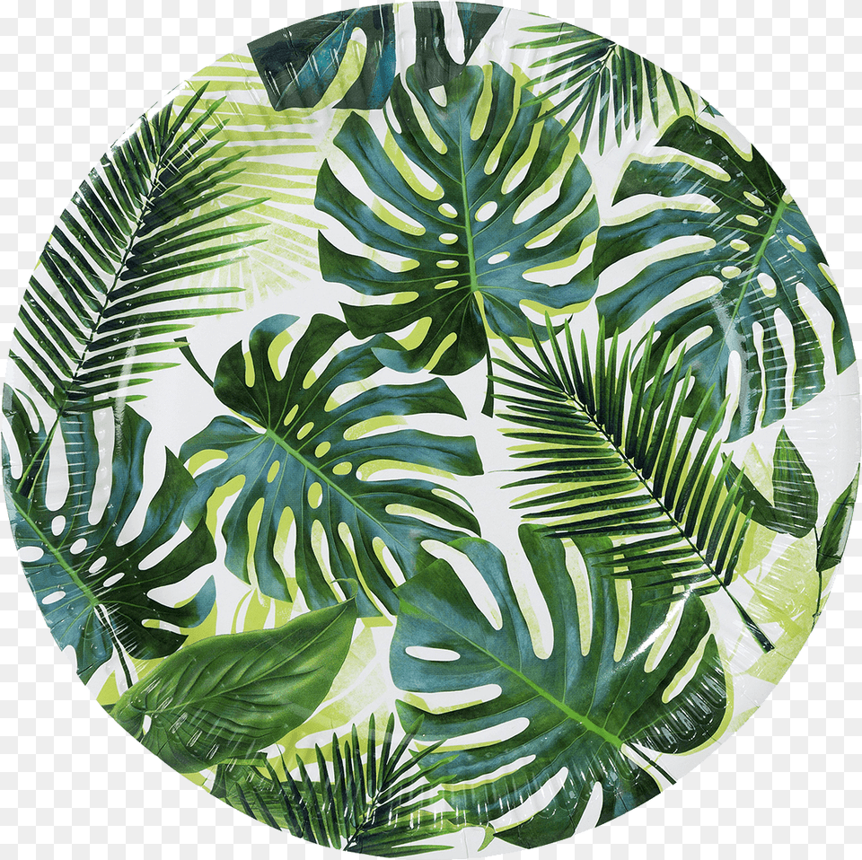 Jungle Paper Plates, Leaf, Plant, Vegetation, Fern Free Png