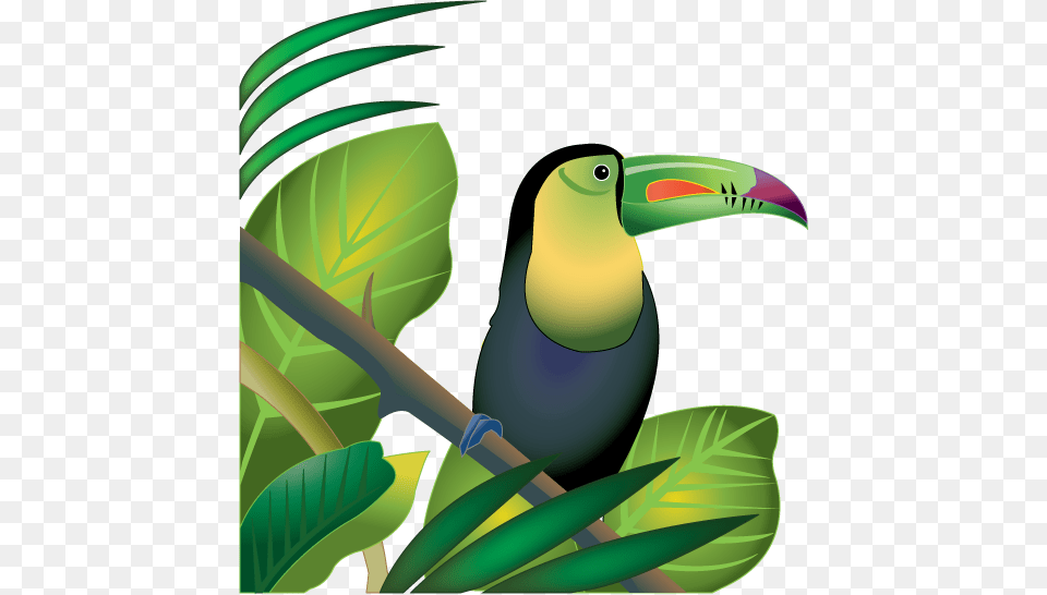 Jungle Plants Clip Art Rainforest Plants Clip Art Pictures, Animal, Bird, Toucan, Plant Png Image