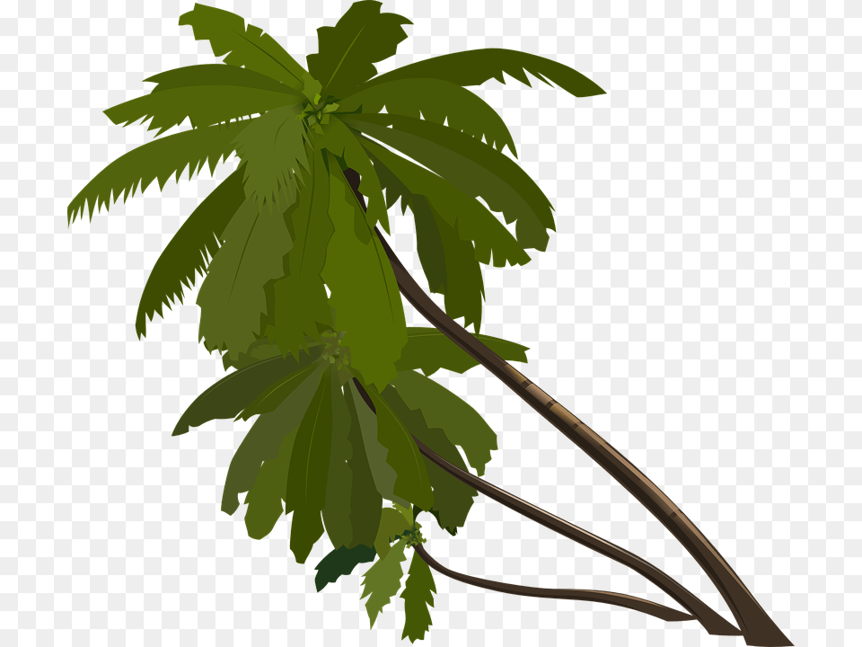 Jungle Tree Cartoon, Green, Leaf, Plant, Vegetation Free Png Download