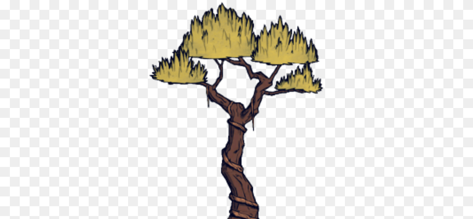 Jungle Tree Don T Starve Jungle Tree, Plant, Person, Cross, Symbol Free Transparent Png