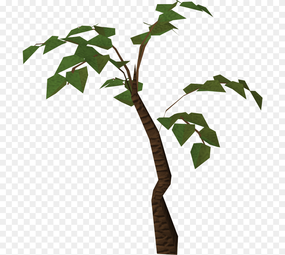 Jungle Tree Hd, Leaf, Plant, Potted Plant, Tree Trunk Free Png