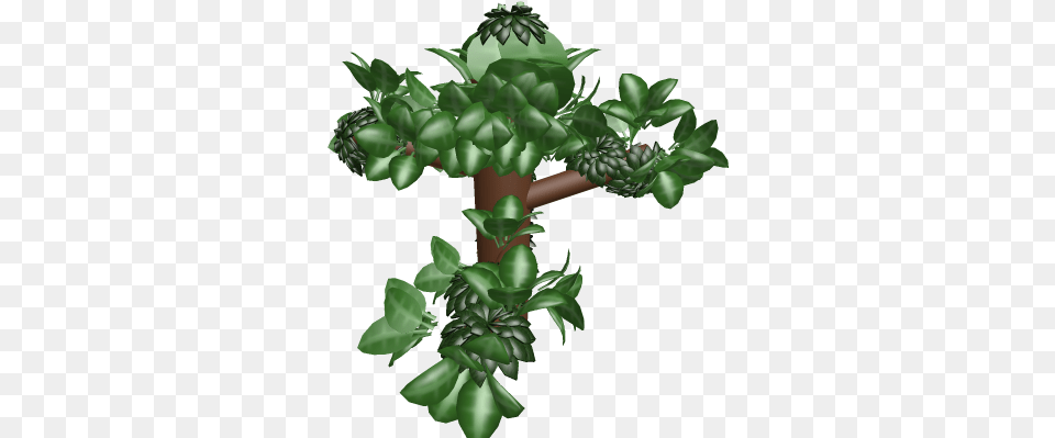 Jungle Tree Houseplant, Plant, Green, Conifer, Potted Plant Png Image