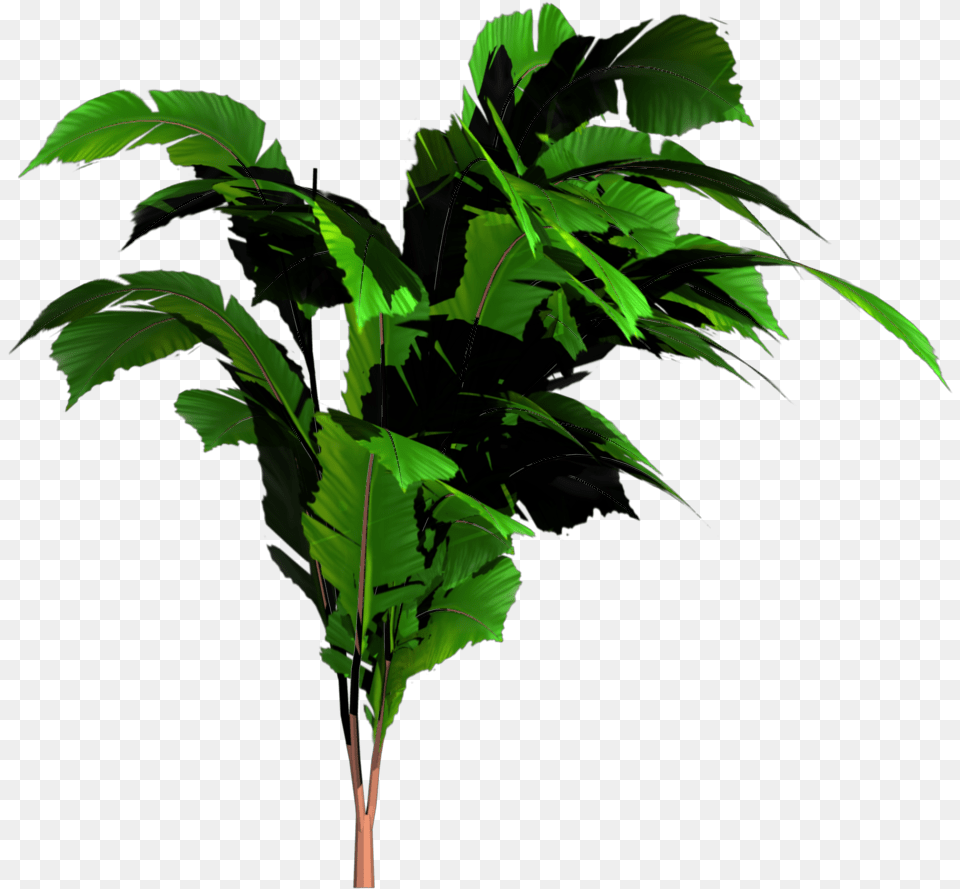 Jungle Tree Transparent Bannana Tree Transparent, Green, Leaf, Plant, Vegetation Free Png