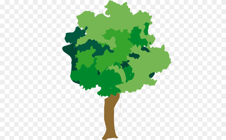 Jungle Trees Clipart, Plant, Tree, Green, Food Png