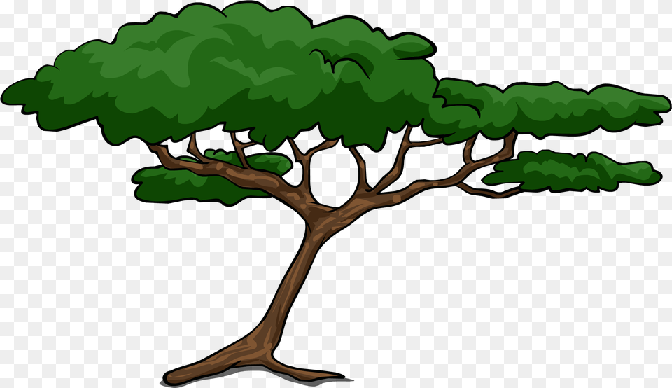 Jungle Trees Clipart Acacia Tree Clipart, Plant, Potted Plant, Vegetation, Oak Free Transparent Png