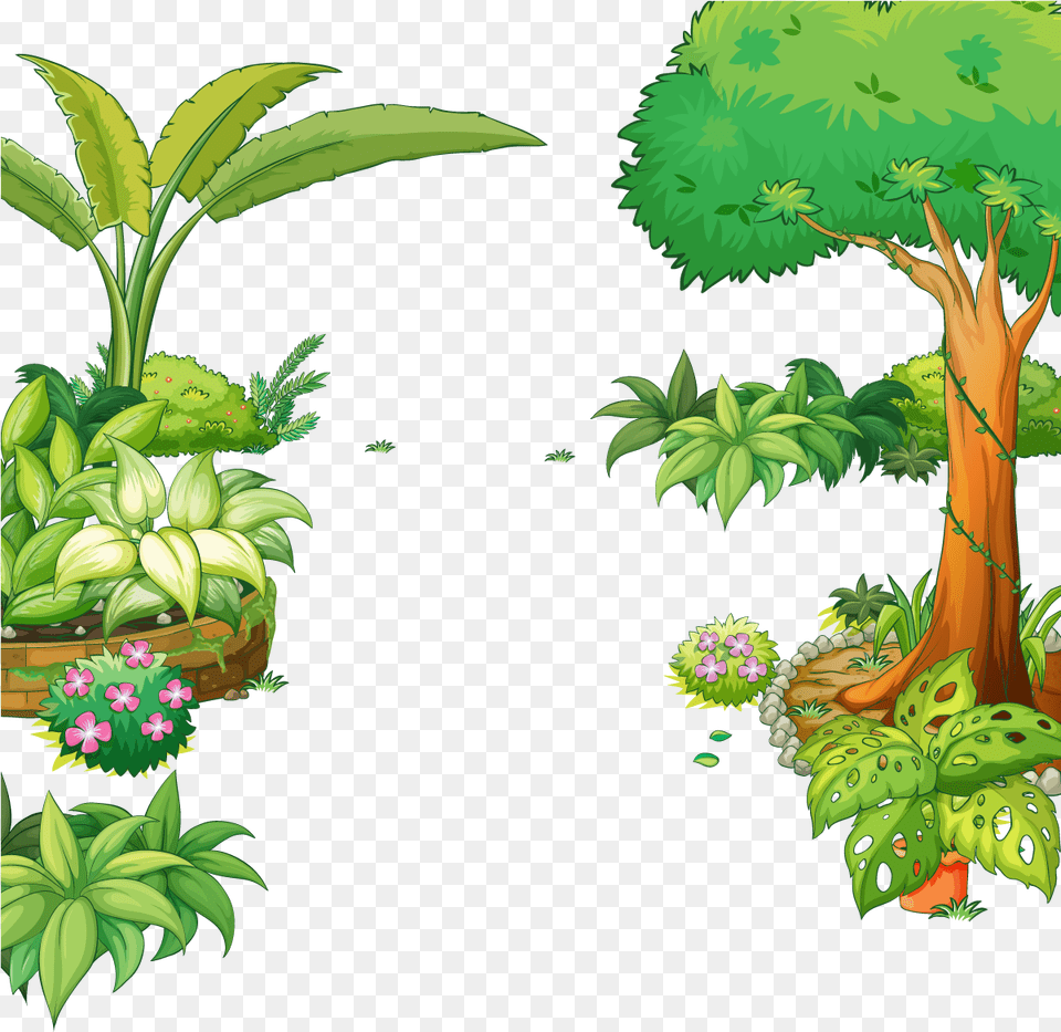 Jungle Vector Free Download, Art, Outdoors, Land, Plant Png