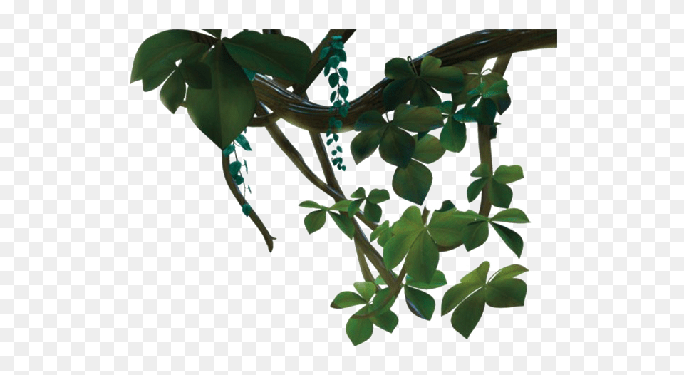 Jungle Vines Transparent Houseplant, Leaf, Plant, Potted Plant, Vine Free Png