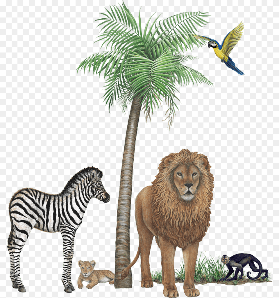 Jungle Wildlife Mural Collection Palm Tree Mural Decal, Animal, Lion, Mammal, Zebra Png
