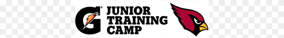 Junior Training Camp Arizona Cardinals, Animal, Beak, Bird, Logo Free Png Download