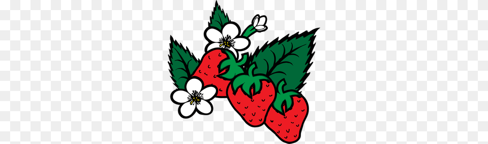 Juniper Berries Clip Art, Berry, Food, Fruit, Plant Free Png Download
