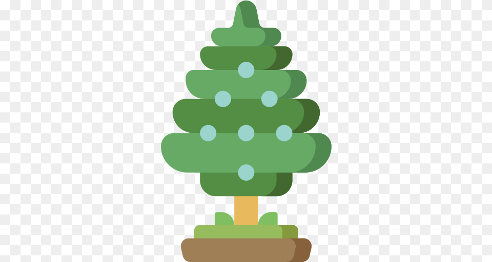 Juniper Christmas Tree, Plant, Green, Christmas Decorations, Festival Free Transparent Png