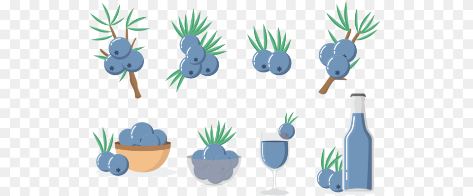Juniper Iconos Vector Icon, Berry, Blueberry, Food, Fruit Free Png