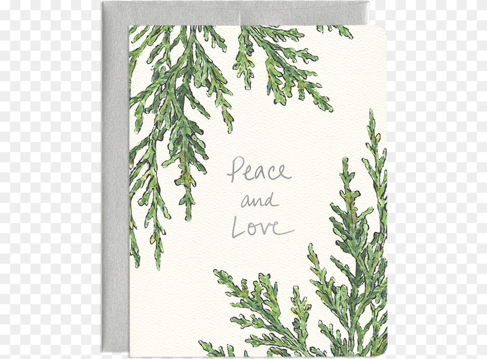 Juniper Peace Card, Herbal, Herbs, Plant, Tree Free Png