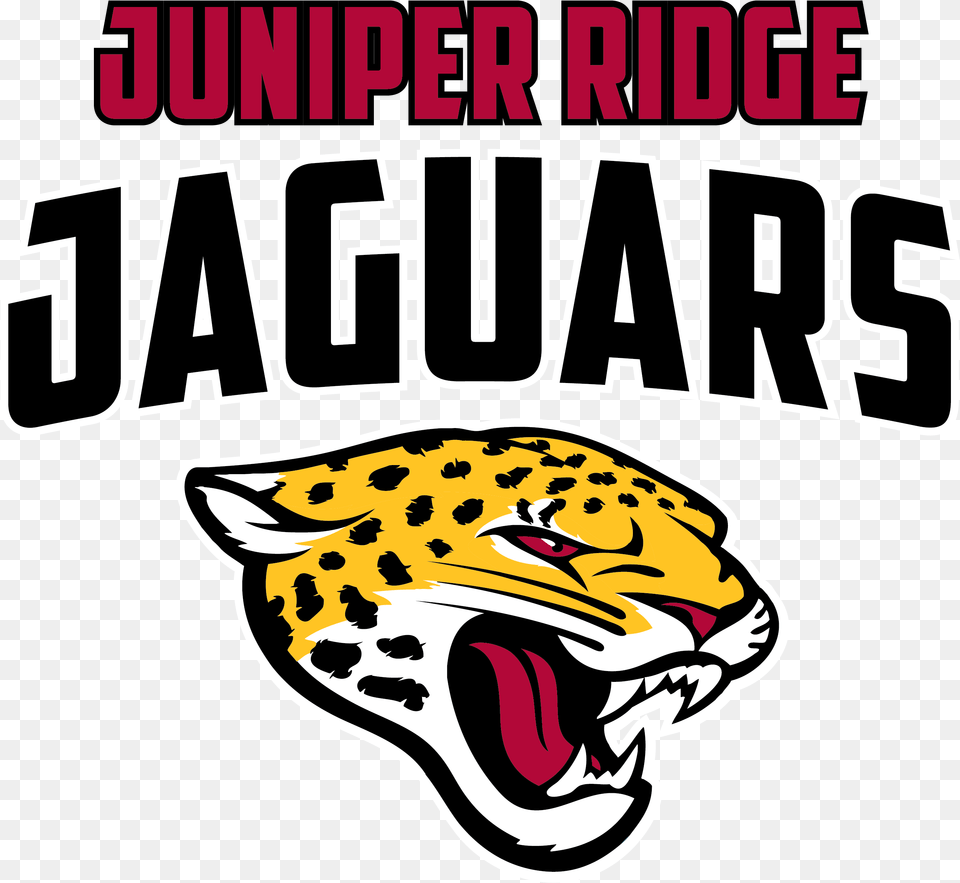 Juniper Ridge Elementary School Jacksonville Jaguars Logo, Book, Publication, Animal, Cheetah Png Image
