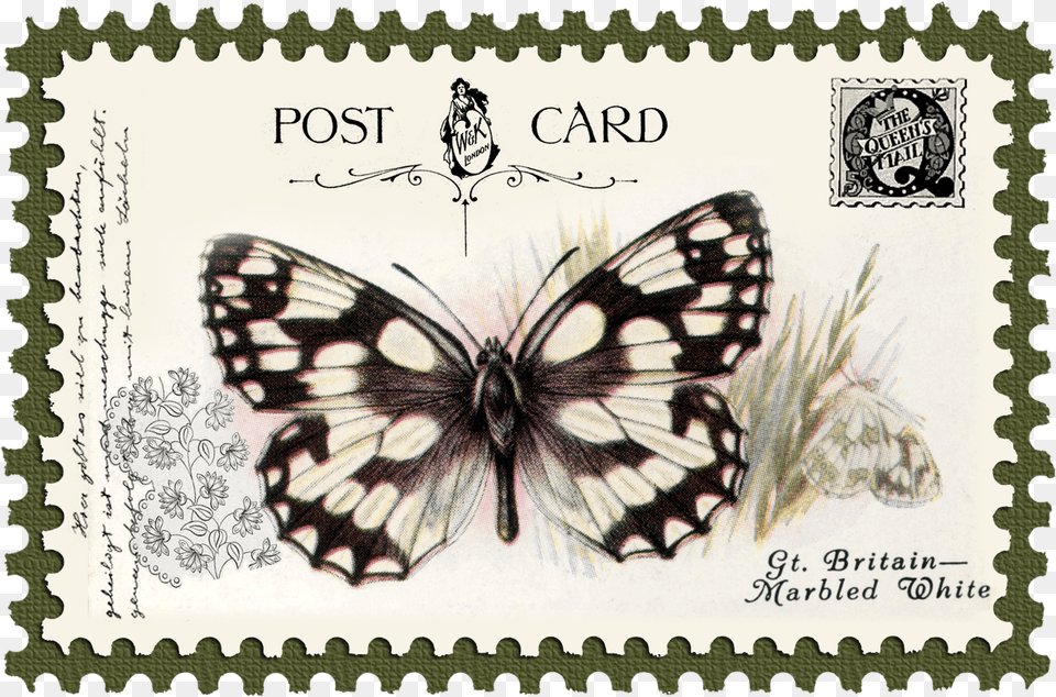 Juno Vintage Butterfly Postage Stamp 10 Mat Stockxchng, Postage Stamp, Person, Animal, Insect Png Image