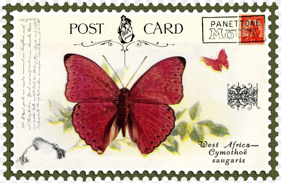 Juno Vintage Butterfly Postage Stamp 5 Mat Fauna Kupu Kupu Perangko, Postage Stamp, Animal, Insect, Invertebrate Free Png
