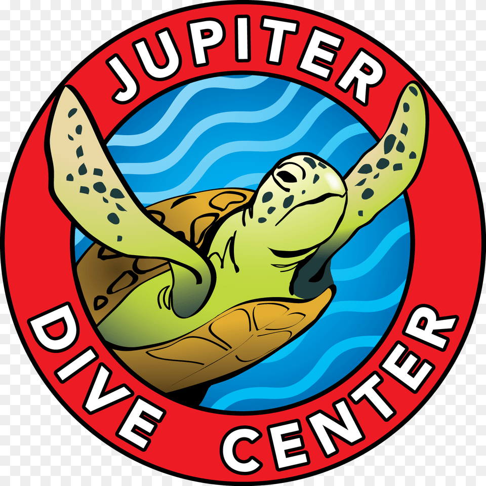 Jupiter Dive Center, Animal, Reptile, Sea Life, Sea Turtle Png Image