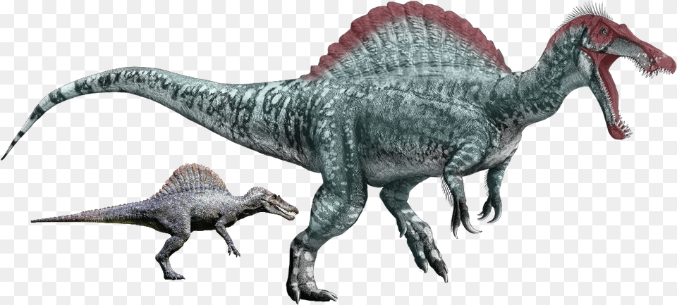 Juraasic Park 3 Female Spinosaurus Remake Jurassic World Website Baryonyx, Animal, Dinosaur, Reptile, T-rex Free Png