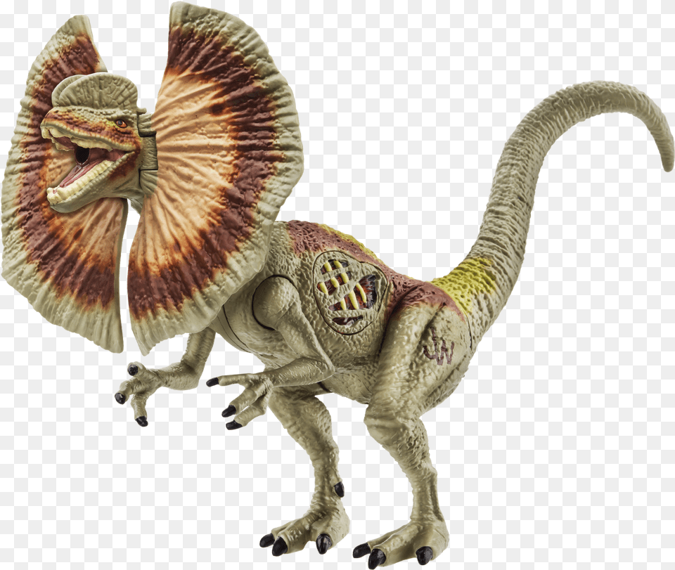 Jurasisc World Lights Amp Sounds Figure Dilophosaurus Dilophosaurus Frilled Lizard Dinosaur, Animal, Reptile, T-rex Png Image