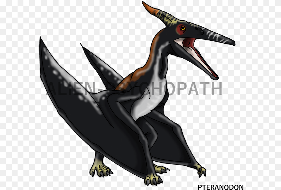 Jurassic Park 3 Male Pteranodon, Aircraft, Airplane, Transportation, Vehicle Png