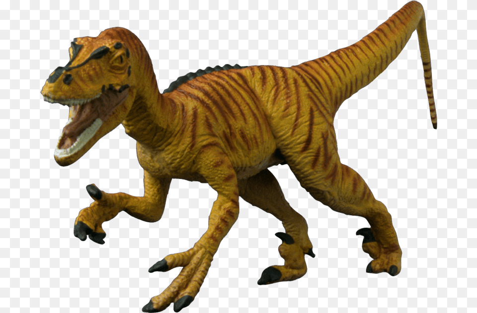 Jurassic Park Dinosaurs Clipart, Animal, Dinosaur, Reptile, T-rex Png Image