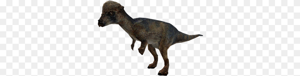 Jurassic Park Dinosaurs Pachycephalosaurus Roblox Dinosaur, Animal, Reptile, T-rex, Kangaroo Free Png
