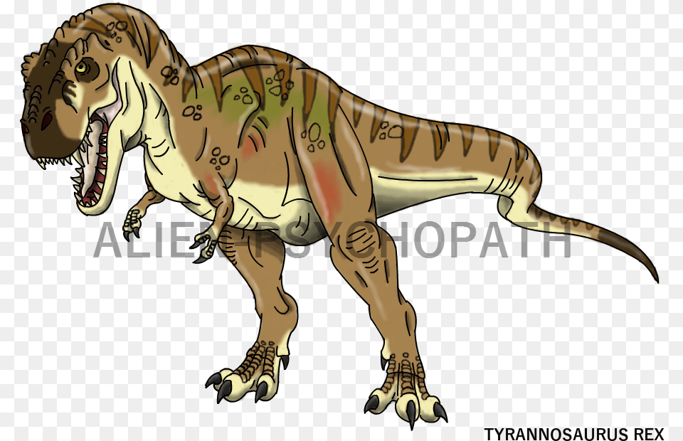 Jurassic Park Jurassic Park Tyrannosaurus Female, Animal, Dinosaur, Reptile, T-rex Free Png