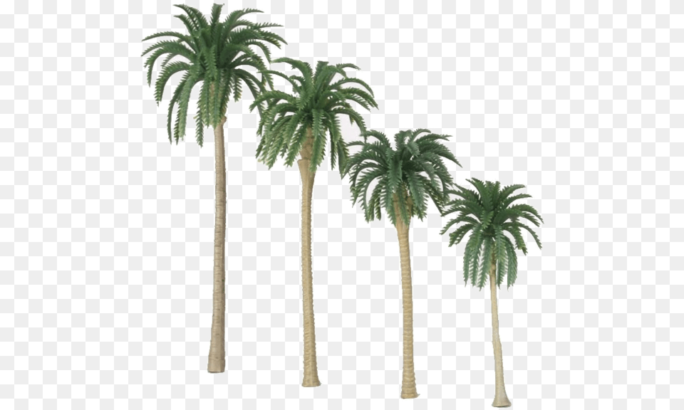 Jurassic Park Playfield Coconut Palm Trees Set Of 4 Congo Palm Tree, Palm Tree, Plant Free Png Download