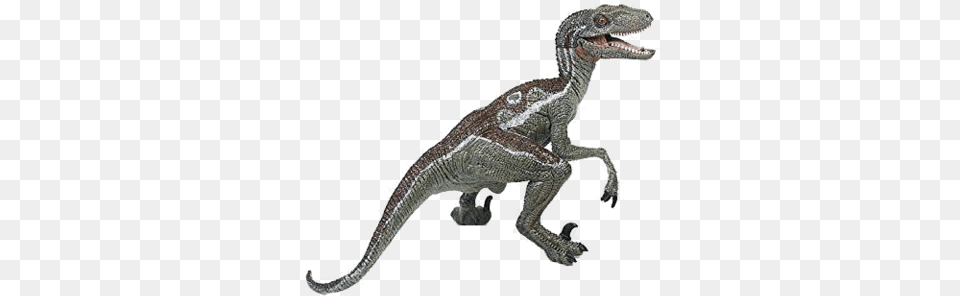 Jurassic Park Playfield Velociraptor Papo Velociraptor, Animal, Dinosaur, Reptile, T-rex Free Png