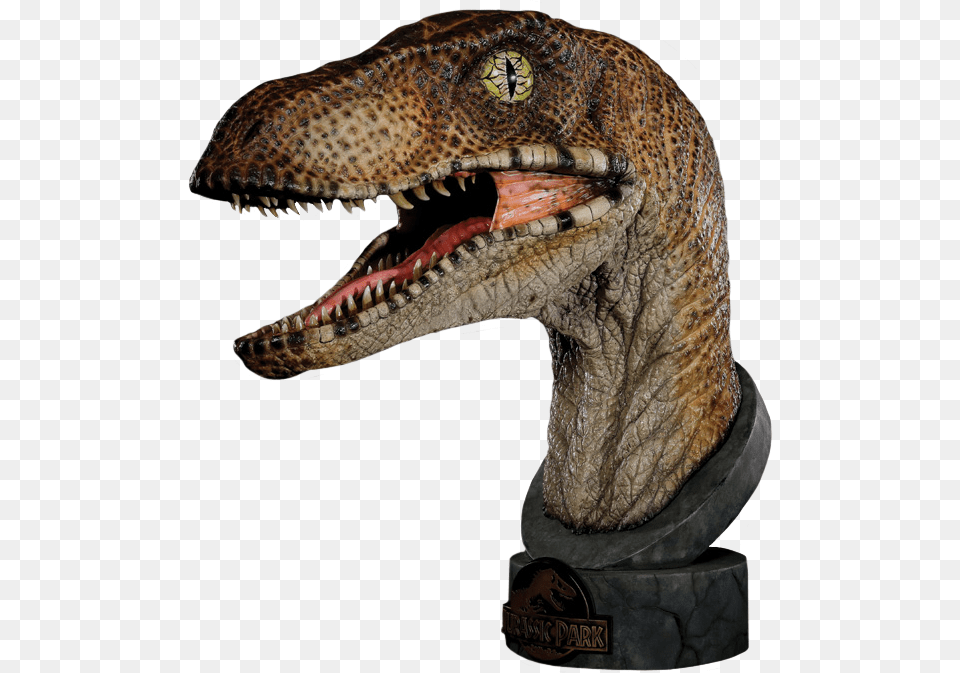 Jurassic Park Raptor 1, Animal, Dinosaur, Reptile, T-rex Free Png Download