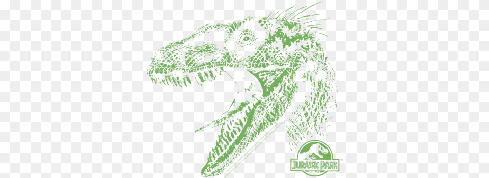 Jurassic Park Raptor Mount Women39s T Shirt Movie Jurassic Park 15th Anniversary Dvd Box Limited, Animal, Reptile, Green, Dinosaur Free Png Download