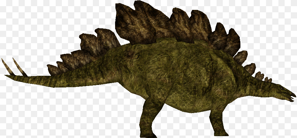 Jurassic Park Stegosaurus, Animal, Dinosaur, Reptile, T-rex Png