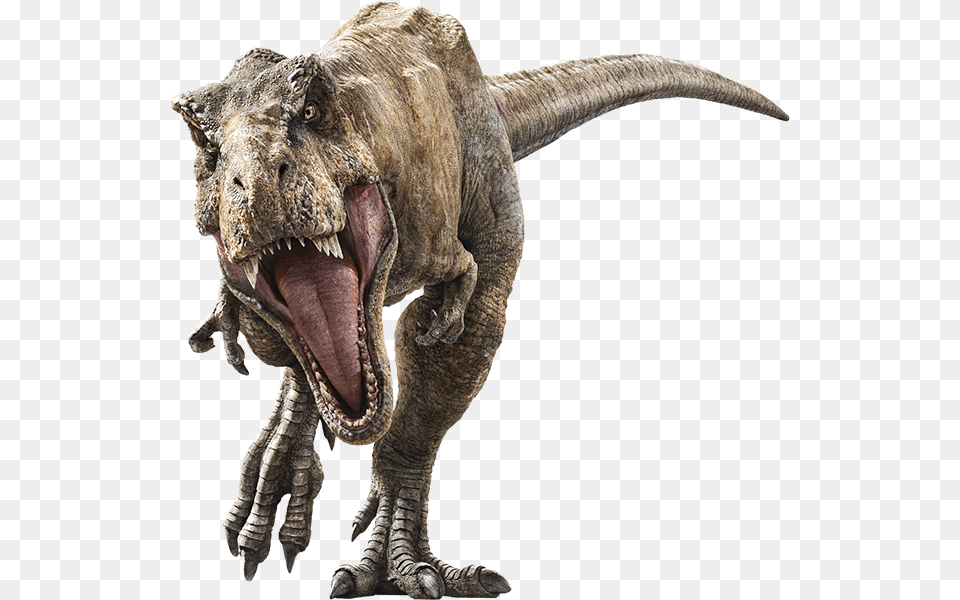Jurassic Park T Rex, Animal, Dinosaur, Reptile, T-rex Png