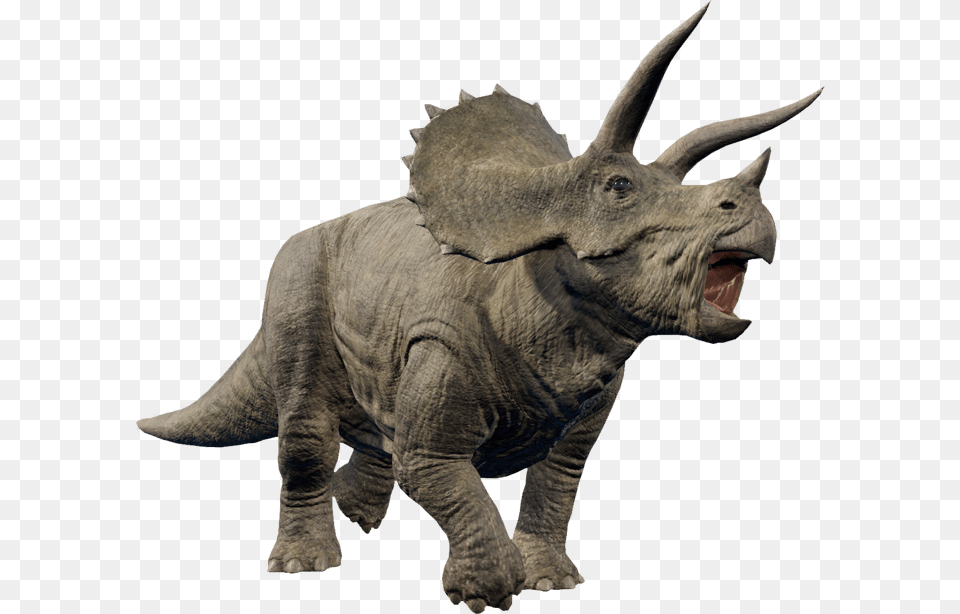 Jurassic Park Triceratops, Animal, Dinosaur, Reptile Free Png Download