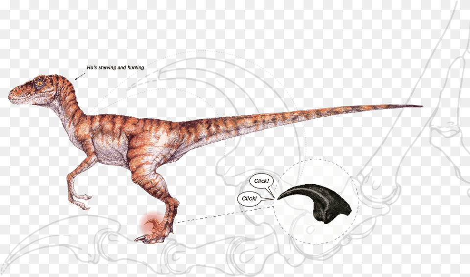 Jurassic Park Velociraptor Concept Art, Animal, Dinosaur, Reptile, T-rex Free Png