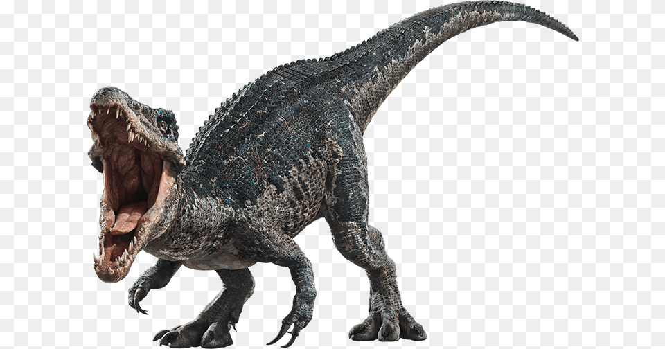 Jurassic Park Wiki Jurassic World Dinosaurs Baryonyx, Animal, Dinosaur, Reptile, T-rex Png Image