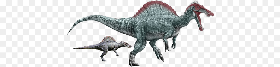 Jurassic Spinosaurus Remake Freetoedit Jurassic World Com Dinosaurs, Animal, Dinosaur, Reptile, T-rex Png Image