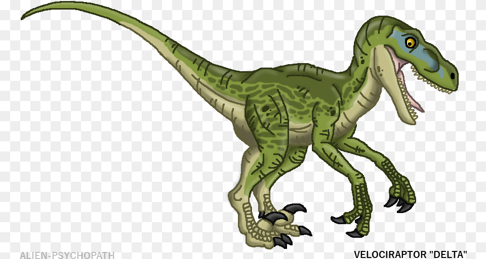 Jurassic World, Animal, Dinosaur, Reptile, T-rex Png Image
