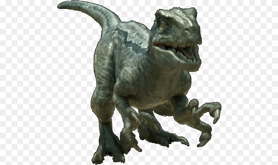 Jurassic World, Animal, Dinosaur, Reptile, T-rex Png Image