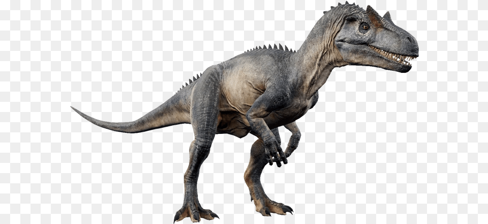 Jurassic World Allosaurus, Animal, Dinosaur, Reptile, T-rex Png