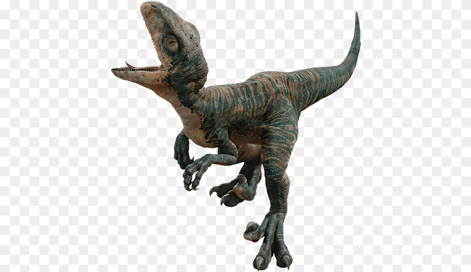 Jurassic World Baby Echo, Animal, Dinosaur, Reptile, T-rex Png Image